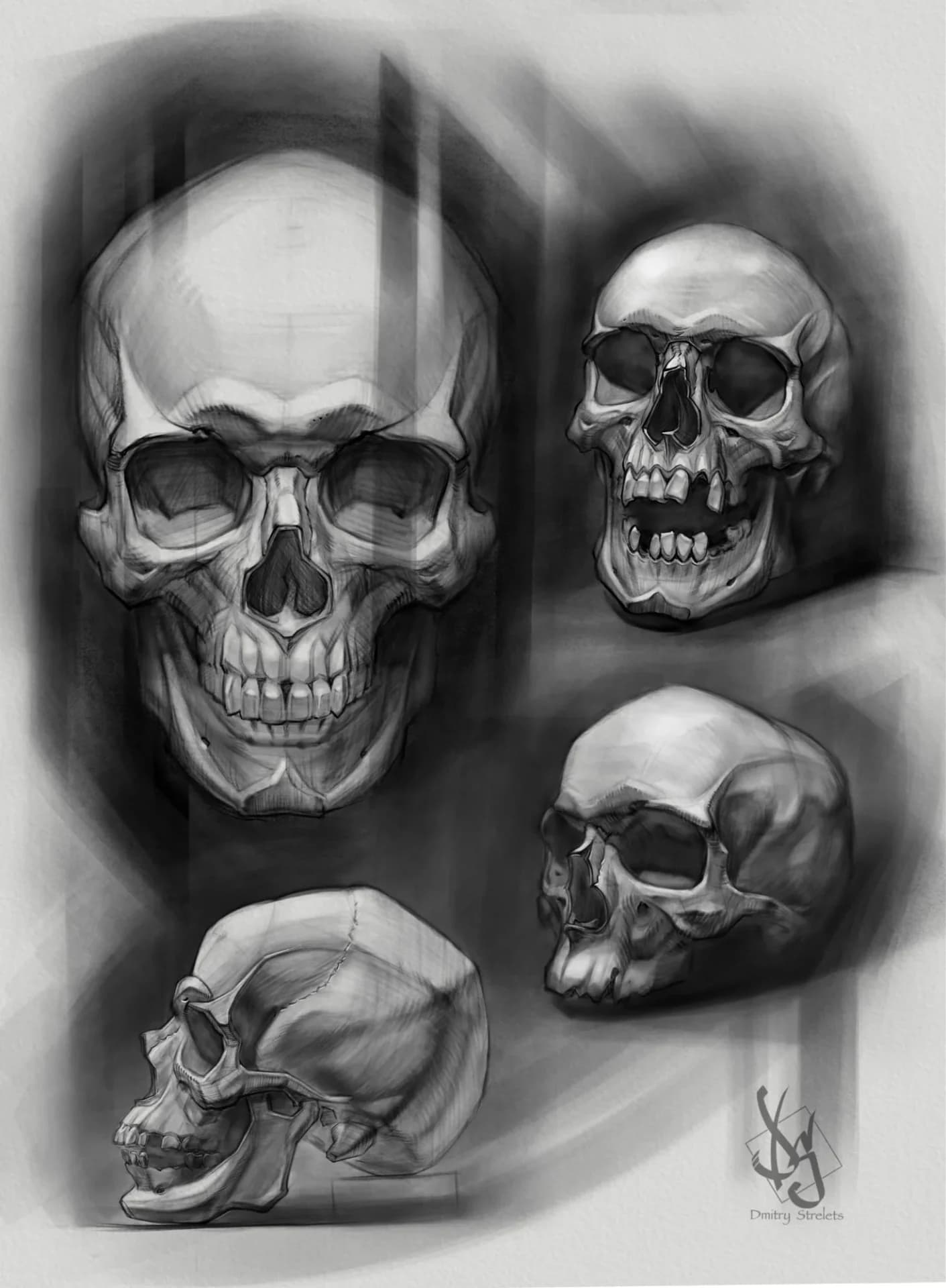 Дмитрий Стрелец